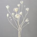 【ポイント5倍中 11/03 09:59迄】 ドライフラワー 花材 即日出荷 ワイルドフェンネル オフホワイト ドライフラワー スワッグ ブーケ 花束 リース 大地農園