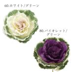 [P5 раз средний 12/02 09:59 до ] Новый год искусственный цветок в тот же день отгрузка лист кнопка S Новый год украшение материал Новый год организовать Новый год мелкие вещи организовать детали . весна украшение ручная работа ручная работа pare