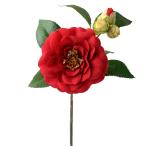[P5 раз средний 12/02 09:59 до ] Новый год искусственный цветок в тот же день отгрузка g Ritter . красный Новый год украшение материалы для цветочной композиции материал детали камелия . красный Kirakira . весна украшение новый год украшение ручная работа мир pare
