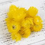  сухой цветок материалы для цветочной композиции в тот же день отгрузка серебряный Дэйзи head summer желтый * цвет тест . незначительный случается серебряный te-ji- материалы для цветочной композиции материалы материал детали восток person торговля 