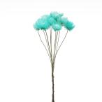  сухой цветок материалы для цветочной композиции в тот же день отгрузка время ограничено специальная цена серебряный Дэйзи * тросик ... цвет свет * цвет ... случается материалы для цветочной композиции материалы материал .. синий зеленый . восток person торговля 