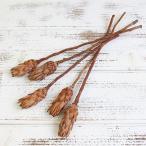  сухой цветок материалы для цветочной композиции в тот же день отгрузка Pro tea Mini ( Pro tea) градация белый Pro tia Pro tea дикий цветок сухой цветок swag восток person торговля 