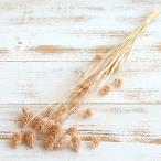  сухой цветок материалы для цветочной композиции в тот же день отгрузка falali вращение k бежевый сухой цветок swag букет сухой цветок букет сухой цветок swa смазка восток person торговля 