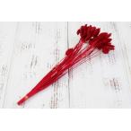  сухой цветок материалы для цветочной композиции в тот же день отгрузка fala белка красный сухой цветок swag букет сухой цветок букет сухой цветок swa смазка организовать восток person торговля 