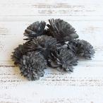  ручная работа цветок материалы для цветочной композиции в тот же день отгрузка солнечный георгина *6cm черный сухой цветок солнечный ручная работа цветок цветок материалы для цветочной композиции материалы материал букет восток person торговля 