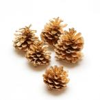  сухой цветок материалы для цветочной композиции в тот же день отгрузка евро кукуруза Gold материалы для цветочной композиции материалы материал детали сосна . дерево. реальный сосна .... Gold золотой цвет lease организовать swag восток person торговля 