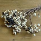 ドライフラワー 花材 即日出荷 なんきんはぜ ナチュラル ※画像よりグレー味が強い場合があります 実 ドライフラワー スワッグ ブーケ 花束 花材 東方貿易