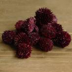  сухой цветок материалы для цветочной композиции в тот же день отгрузка Mini chi-zeru красный реальный сухой цветок swag букет сухой цветок букет сухой цветок swa смазка материалы для цветочной композиции . восток person торговля 