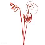 [P5 раз средний 12/02 09:59 до ] сухой цветок материалы для цветочной композиции в тот же день отгрузка машина Lee ke-n красный / Gold woshu ветка материалы для цветочной композиции материалы материал детали интерьер красный . восток person торговля 