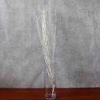 ドライフラワー 花材 即日出荷 ホワイトレディ ホワイト 枝 ドライフラワー プリザーブドフラワー スワッグ ブーケ ドライフラワー花束 リース 東方貿易