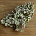 [P5 раз средний 12/02 09:59 до ] сухой цветок материалы для цветочной композиции в тот же день отгрузка орегано kent вид ti натуральный / зеленый сухой цветок swag букет букет материалы для цветочной композиции восток цветок 