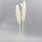 ドライフラワー 花材 即日出荷 インディアンコーン(65098) ※ボリューム差があります ドライフラワー スワッグ ブーケ ドライフラワー花束 リース 卸 東花