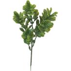 [P5 раз средний 12/02 09:59 до ] искусственный цветок зеленый .... товар box дерево pick интерьер искусственная зелень детали интерьер цветок материалы для цветочной композиции материалы viva прикладное искусство 