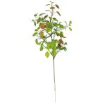 [P5 раз средний 12/02 09:59 до ] искусственный цветок зеленый .... товар p Mira leaf спрей интерьер искусственная зелень детали интерьер цветок материалы для цветочной композиции материалы viva прикладное искусство 