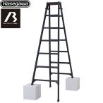 はしご兼用脚立 RYZB 7段 はしご・脚立 最大使用質量：100kg 長谷川工業 RYZB-21a ブラックレーベルシリーズ ブラック 【直送 代引・時間指定 不可】