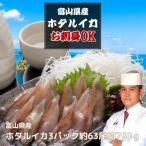 ほたるいか お刺身可 富山湾産 ホタルイカ 約750g(250g×3パック)約63尾 熨斗対応可【お中元】【母の日ギフト】【父の日ギフト】におすすめです!