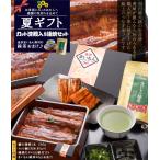 ショッピングうなぎ 国産 うなぎギフト7 うなぎ 国産 大サイズ国産うなぎ蒲焼1本＆カット済鰻2枚入りセット　熨斗対応可【母の日ギフト】【お中元】におすすめです！