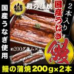 ショッピングうなぎ うなぎ 鰻 ウナギ 国産 うなぎ蒲焼  大サイズ蒲焼1尾 解凍前約200g(解凍後約185g)×2