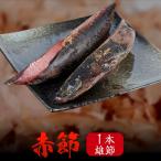  красный . 1 шт. самец ./.. стружка Кацуобуси kaneninisi