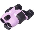 サイトロンジャパン　双眼鏡 SIGHTRON FESTA 12x21 STABI