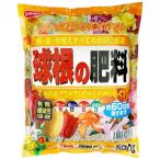  солнечный and Hope луковица. удобрение 500gkyu куркума nohiryou