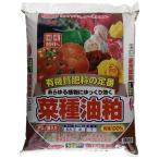  солнечный and Hope рапсовое масло .5kgnatane Abu la rental 