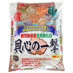  солнечный and Hope натуральный . окаменелость . сердце. один .5kg тонн nen kai катушка ki kai sinnoichigeki