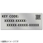 パナソニック Panasonic アップグレードソフトウェアキー DMW‐SFU1