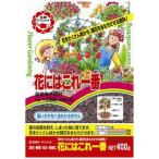  день Kiyoshi сад Mate цветок - это самый 400g 2100982
