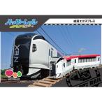 HACOMO happy направляющие Narita Express 