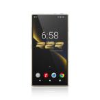 FIIO в высоком разрешени плеер M33 R2R [ в высоком разрешени соответствует / 128GB] Titanium Gold FIO-M33R-G