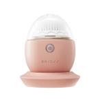  много рисовое поле BRiOSS( желтохвост мужской )kli Acre nz щетка BRCLN02