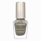 キャンメイク　CANMAKE (キャンメイク) カラフルネイルズ N119 パームリーフ (8ml)　