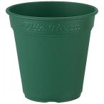  Apple одежда -ro там pot 240 type зеленый ro там pot 240 дребезжание 