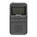  ом электро- машина N радио карман P500 AudioComm [ широкий FM соответствует / AM/FM] стальной серый RADP500NH