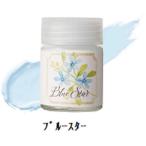 GSIクレオス　Ｃｌａｓｓｙ’ｎ　Ｄｒｅｓｓｙ（クラシッシー　アンド　ドレッシー）　ブルースター　C&amp;Dブルースター(HCD