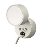 DX антенна LED сенсор свет 1 тип света AC100V тип DSLD10D1-S