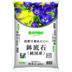  высокий po шея s камни на дно горшка 2L пчела sokoisi