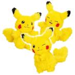 ショッピングポケモン セガトイズ　WHO are YOU? ポケモン　ポケモン