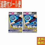 [2 шт. комплект ]teru корпорация sports gear a four Dance опора . сила локоть F ( локоть вокруг 17~35cm) [ почтовая доставка бесплатная доставка /2 шт. комплект ]