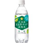 ポッカサッポロ 北海道富良野ホップ炭酸水 500ml PET ×24本 無糖 炭酸 ほろにが炭酸 500ミリリットル ペットボトル