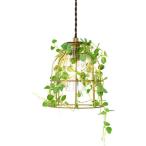 キシマ ボタニックペンダントライト Fittonia 1灯 フィットニア CC-40341 1台（直送品）