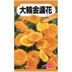 ニチノウのタネ 大輪金盞花 日本農産種苗 4960599414380 1セット（5袋入）（直送品）