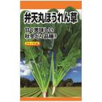 ニチノウのタネ タキイ交配 弁天丸ほうれん草 日本農産種苗 4960599261601 1セット（5袋入）（直送品）