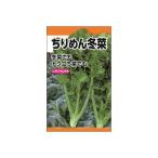 ニチノウのタネ ちりめん冬菜 日本農産種苗 4960599200709 1セット（5袋入）（直送品）