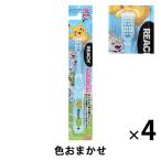 リーチキッズ はえかわり期用（7〜12才） ポケットモンスター 1セット（4本） 歯ブラシ（子供用）