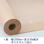 ペーパークロス 幅1200mm×長さ30m巻 1巻 ダイトス ハピラ