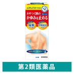 近江兄弟社メンタームEXローション 100ml 近江兄弟社 かゆみ・乾燥肌【第2類医薬品】