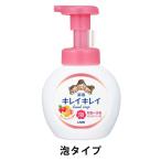 キレイキレイ 薬用 ハンドソープ 泡　フルーツミックスの香り　本体　250ml　殺菌 保湿 ライオン