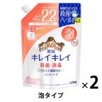 キレイキレイ 薬用 ハンドソープ 泡　フルーツミックスの香り　詰め替え450mL　1セット（2個入）　殺菌 保湿 ライオン